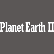 Planet Earth II | Emmy Awards and Nominations | Television Academy