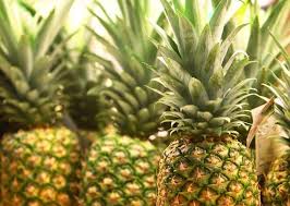 Bromelain And Quercetin Balance The Natural Inflammatory Response Vitamedica In 2020 Pineapple Benefits Cancer Fighting Foods Bromelain Benefits