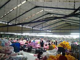 We did not find results for: Cwii Masaran Cwii Masaran Facebook Ada Berapa Vidio Potongan Tujuan Sayur Besan