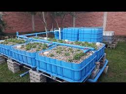 As your aquaponics system develops it's important to maintain a ph level between 6.8 and 7.2. Complete Aquaponics Set Up Start To Finish Youtube