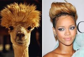 57 New Celebrity Animal Look A Likes Prove People Look Like Animals Like Animals Animals Celebrities Funny