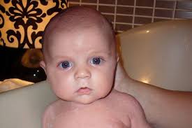 Neighbours tell of screams as baby is mauled to death by pets