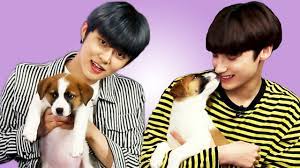 Txt (투모로우바이투게더) 'cat & dog' dance practice. Txt Plays With Puppies While Answering Fan Questions Youtube