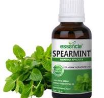 Spearmint Essential Oil