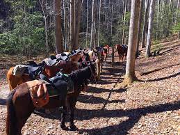 Maybe you would like to learn more about one of these? 18 Best Fun Things To Do In Cherokee Nc Attractions Activities