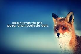 Kurnaz Sozler Kurnazlik Ile Ilgili Sozler Tilki Guzel Soz Friedrich Nietzsche