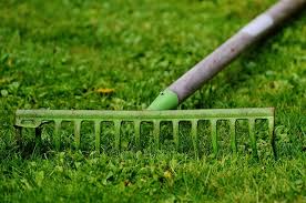 Image result for business of gardening