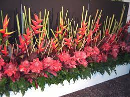 Yandina Ginger And Flower Festival Altar Flowers Flower Festival Flowers