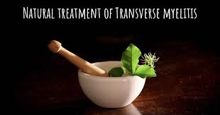 This neurological disorder often damages the insulating material covering nerve cell fibers (myelin). Is There Any Natural Treatment For Transverse Myelitis