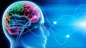 Image result for OTAK