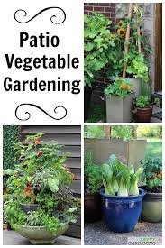 Patio Vegetable Garden Setup And Tips To Get Growing Container Gardening Vegetables Veggie Garden Easy Garden Ideas Landscaping