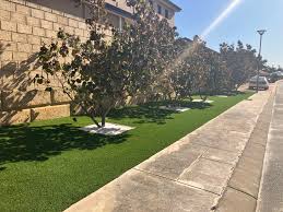 Mandurah Artificial Grass