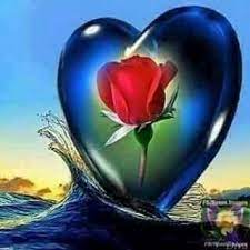 pin by malaksy on ورود وشموع وقهوه وقطط وانغام موسيقيه heart wallpaper lion art hearts and roses