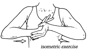 Do Isometric Exercises Build Strength Best4fit