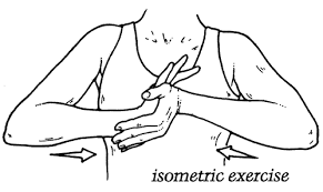 do isometric exercises build strength best4fit