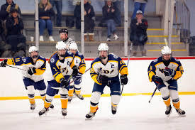 Image result for Emilia hockii