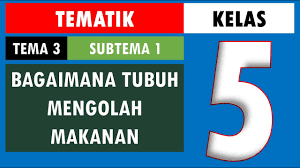 Berikut contoh soal uas kelas. Revisi Soal Tematik Kelas 5 Tema 3 Subtema 1 Bagaimana Tubuh Mengolah Makanan Youtube