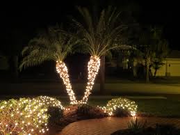 Holiday palm tree christmas lights. Lights Kimimela Rising Palm Tree Decorations Christmas Lights Star Christmas Lights