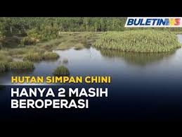 Paras air sungai golok di kelantan dikhuatiri melepasi tahap bahaya susulan taburan hujan yang tinggi di hulu sungai jenob, tanah merah. B9l2yqq8jzjvnm
