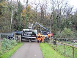 Jbs tree experts llc is a full service tree business serving monmouth and ocean counties. Monmouthshire Tree Services Ltd Home Facebook