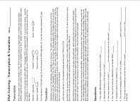 1 each dna molecule has two sides one is called the template from which the mrna is constructed by rna transcription and translation coloring pages beautiful cell coloring. Dna Rna Biology Notebook