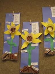 Parts Of A Flower Flower Chart A Fun Science Activity