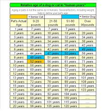 dogs age chart thought it might help us out monty will be