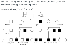 Haemophilia Pedigree Chart Royal Family Bedowntowndaytona Com