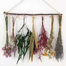 Wild dagga is great smoked by itself or in combination with other herbs and extracts. Amazon Com Dried Flower Rack Dried Flower Wall Hanging Farmhouse Wall Decor Dried Herb Rack Lavender Sent From Texas Home Kitchen