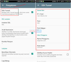 Cara mengubah paket videomax telkomsel menjadi kuota reguler yang pertama ialah memanfaatkan kpn tunnel rev. Cara Setting Kpn Tunnel Revolution Untuk Mengubah Kuota Telkomsel