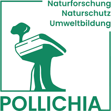 Image result for Pollichia