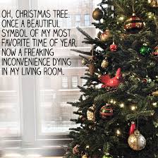 Check spelling or type a new query. Taking Down The Christmas Tree Freddy Petunia