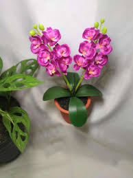 Bibit anggrek bulan mini (dewasa siap berbunga): Jual Bunga Anggrek Pink Artificial Terbaru Juni 2021 Blibli