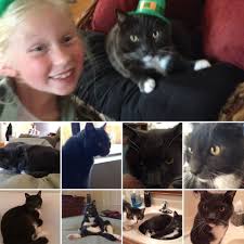 The Kitten” Reminds me of my cat Mercury as a kitten. Still miss him. He  loved being rocked in fresh sheets and going out into the garden.