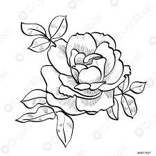 Disegni colorati per bambini da stampare gratis. Schizzo A Matita Della Rosa Vettore Stock Crushpixel
