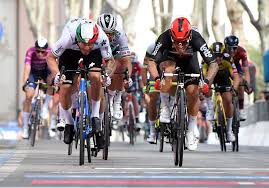 Find italia gifts and merchandise printed on quality products that are produced one at a time in socially responsible ways. Cycling Ewan Wins Giro Stage Five Landa Crashes Out