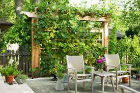 Nice Wood Pergola Screen Wilmette Residence Traditional Patio Chicago The Arrow Shop Lt Privacy Landscaping Backyard Privacy Courtyard Gardens Design