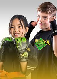 Premier Martial Arts North Colorado Springs Martial Arts Lessons