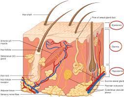 How Long Do Stick And Poke Tattoos Last Tattoo Moisturiser