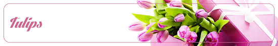 All our flowers are sent by yonge delivery service. Tulips Delivery In London Ontario London Ontario Florist Premium Florist