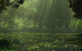 #forest wallpaper #anime wallpaper #anime forest #couple wallpaper. Rainy Nature Windows 10 Theme Themepack Me