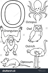 List of animals starting with o. O Animals Names Alphabet Coloring Kids Stock Vector Royalty Free 2017596497 Shutterstock