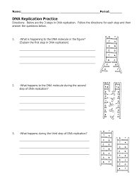You must label all the bold. Dna Replication Worksheet