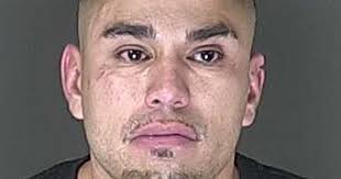 After hours-long standoff, authorities use 'gas munitions' to arrest  Security-Widefield stabbing suspect