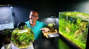 Super Low Tech Aquascape Tour With Md Fish Tanks Youtube