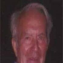 Louis J. Bauer Obituary