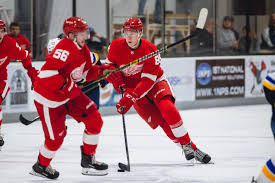 Join facebook to connect with elmer söderblom and others you may know. 11 Observations From The Red Wings Title Winning Prospect Tournament The Athletic