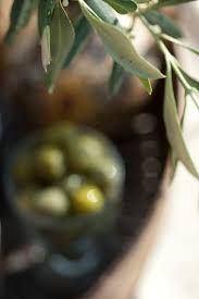 Olives Photo Heather Ross Olive Gardens Olive Tree Heather Ross