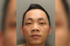 Man growing £196k cannabis farm tells police he's 15