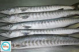 Fish Prawns Lobster 89312 Food Restaurants In Karachi Dealmarkaz Pk All seafood is fresh and authentic. fish prawns lobster 89312 food